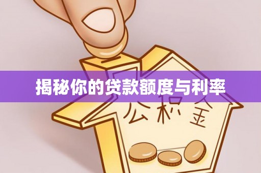 竹崎揭秘你的贷款额度与利率