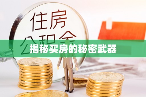 竹崎揭秘买房的秘密武器