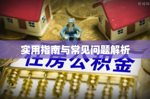 竹崎实用指南与常见问题解析